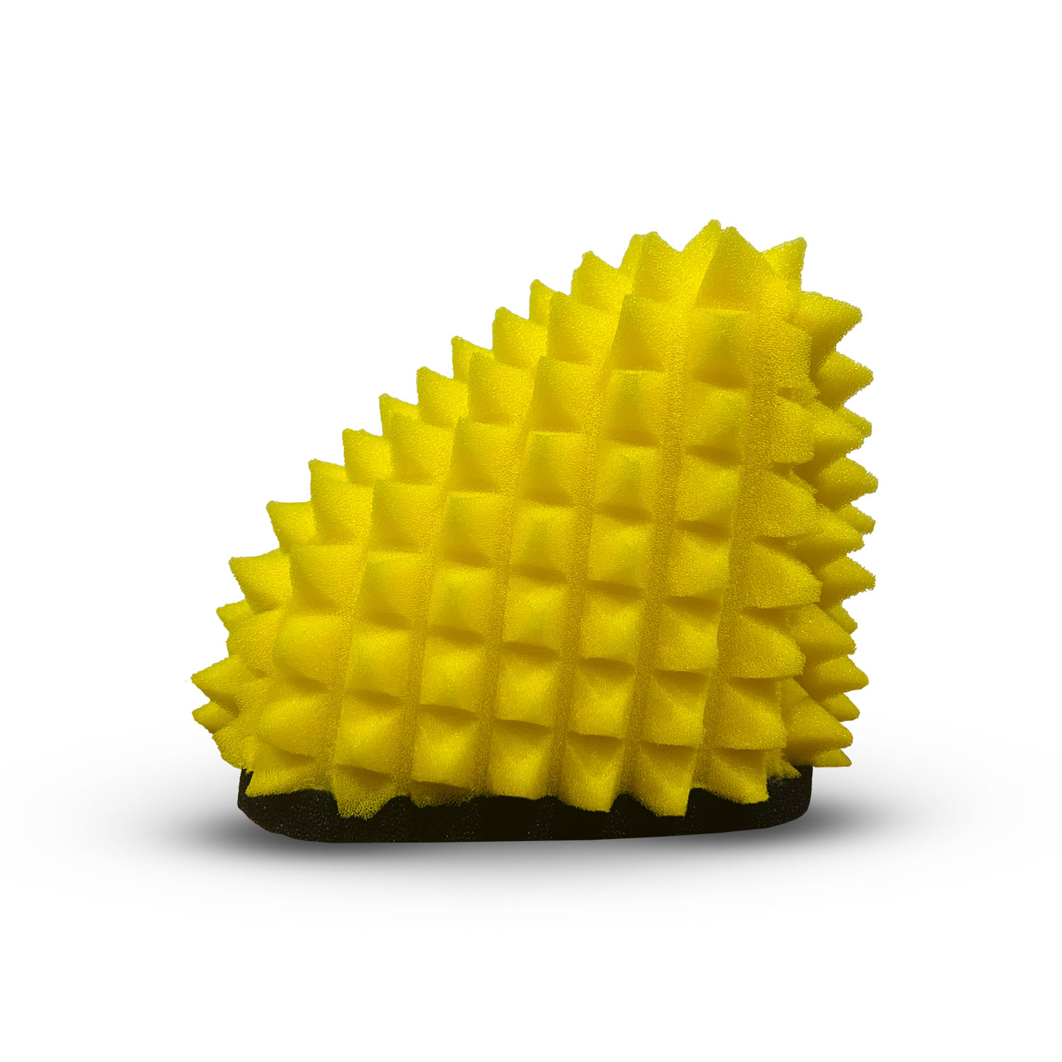 65 SX 2024-2026 - 65 SX 2024-2026 - Image 4